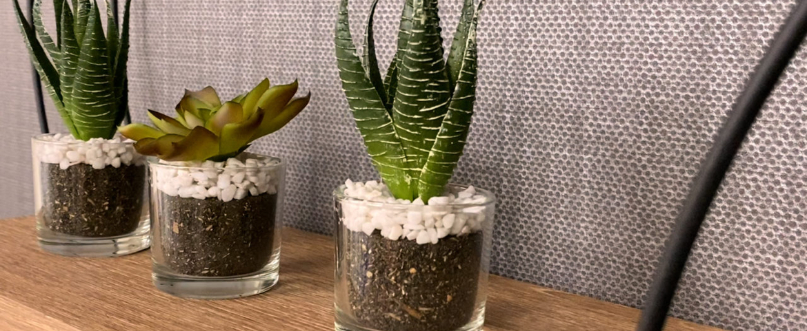 MK21-Beehive Light Grey - Image 3