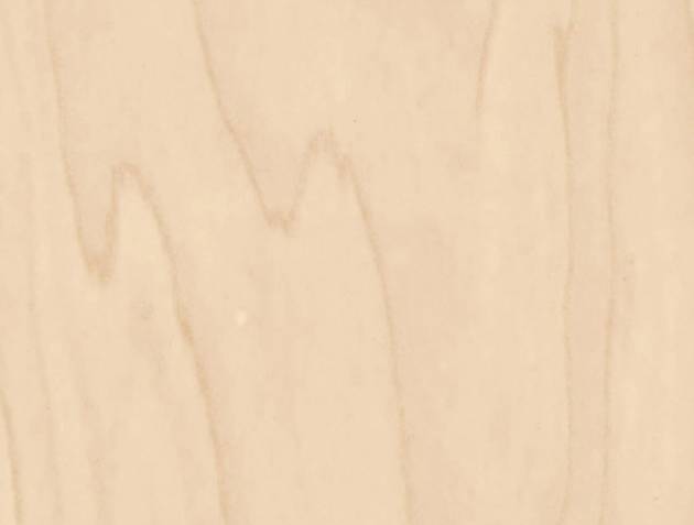 CT19-Gold And White Birch