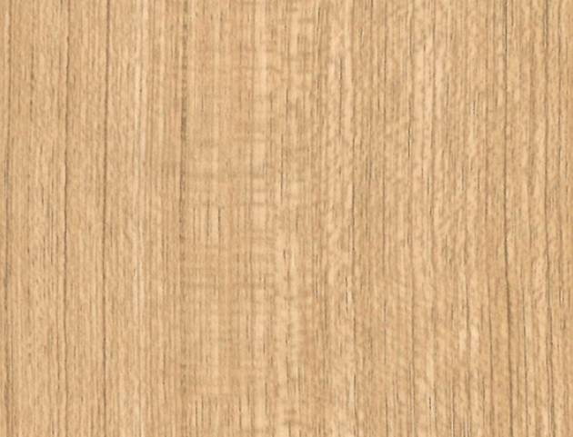 CT45-Medium Beige Palm Tree