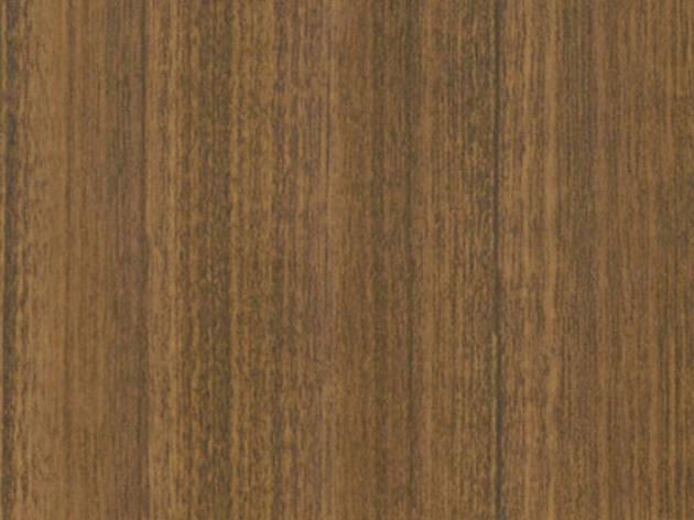 CT56-Medium Brown Palm Tree