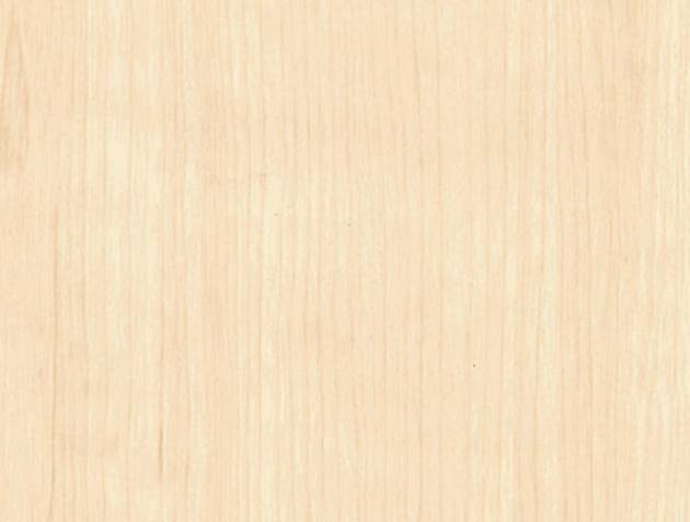 CT93-Medium Beige Acacia