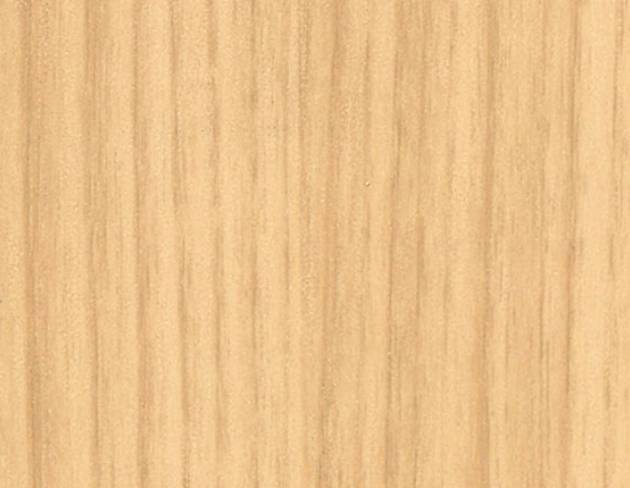 CT97-Structured Medium Brown Palm Tree