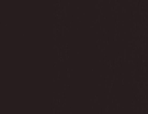 E50-Brownish Oak Styl’