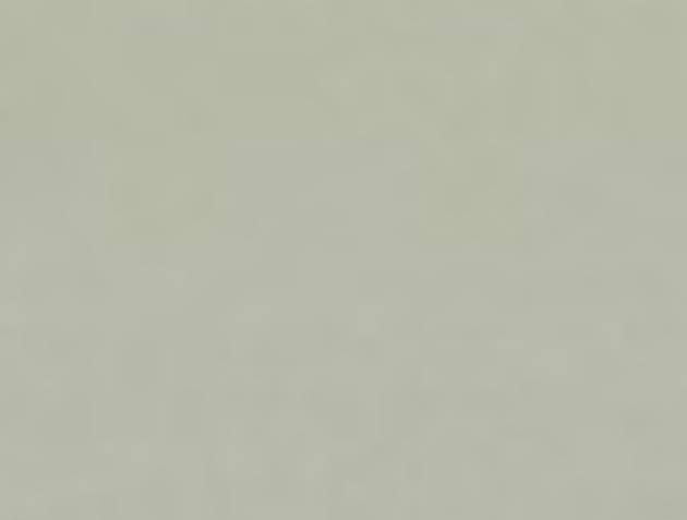 RM30-Pastel Olive Green