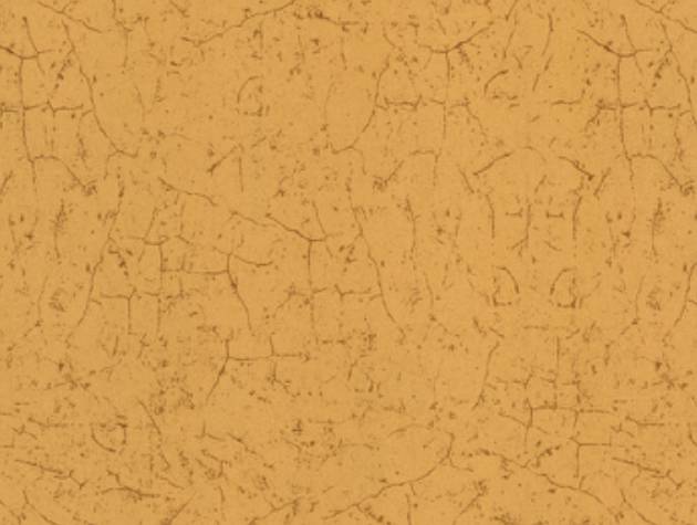 P1-Zebra Hammered Gold